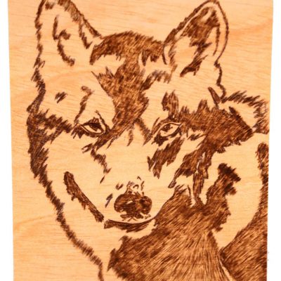 Pirograbado Lobo Ibérico