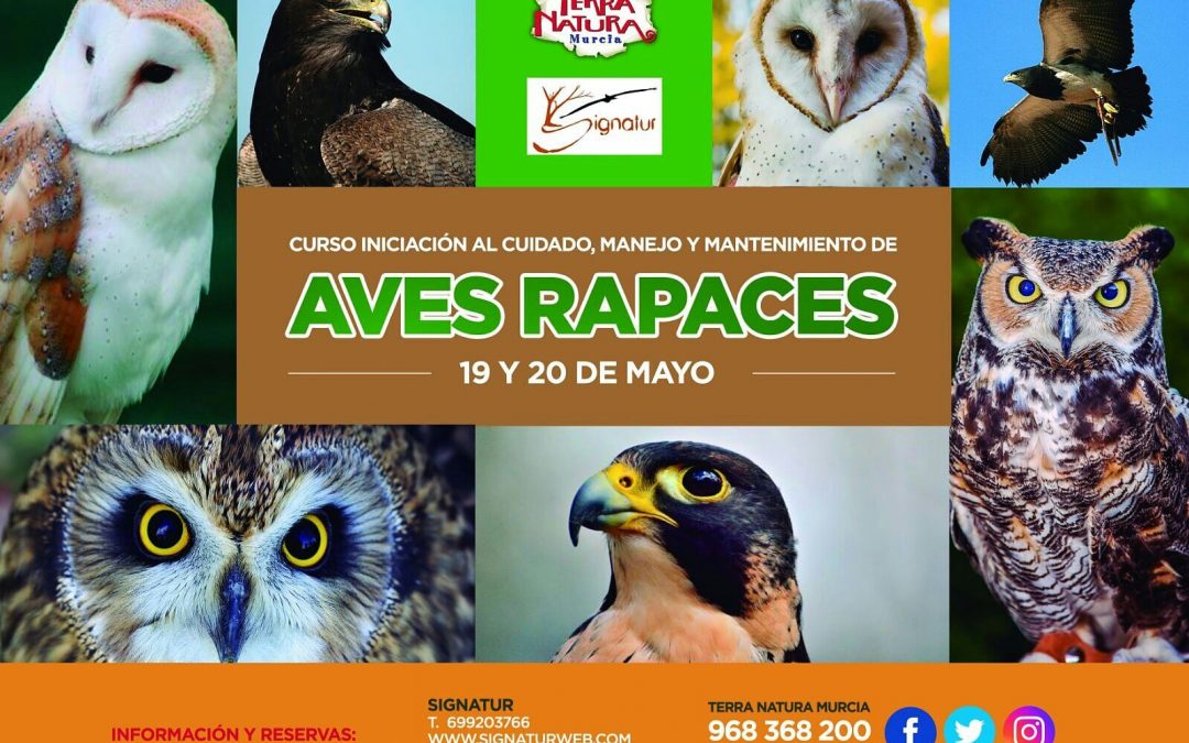 CURSO AVES RAPACES. Fecha: 19 y 20 de mayo. Lugar: Terra Natura (Murcia)